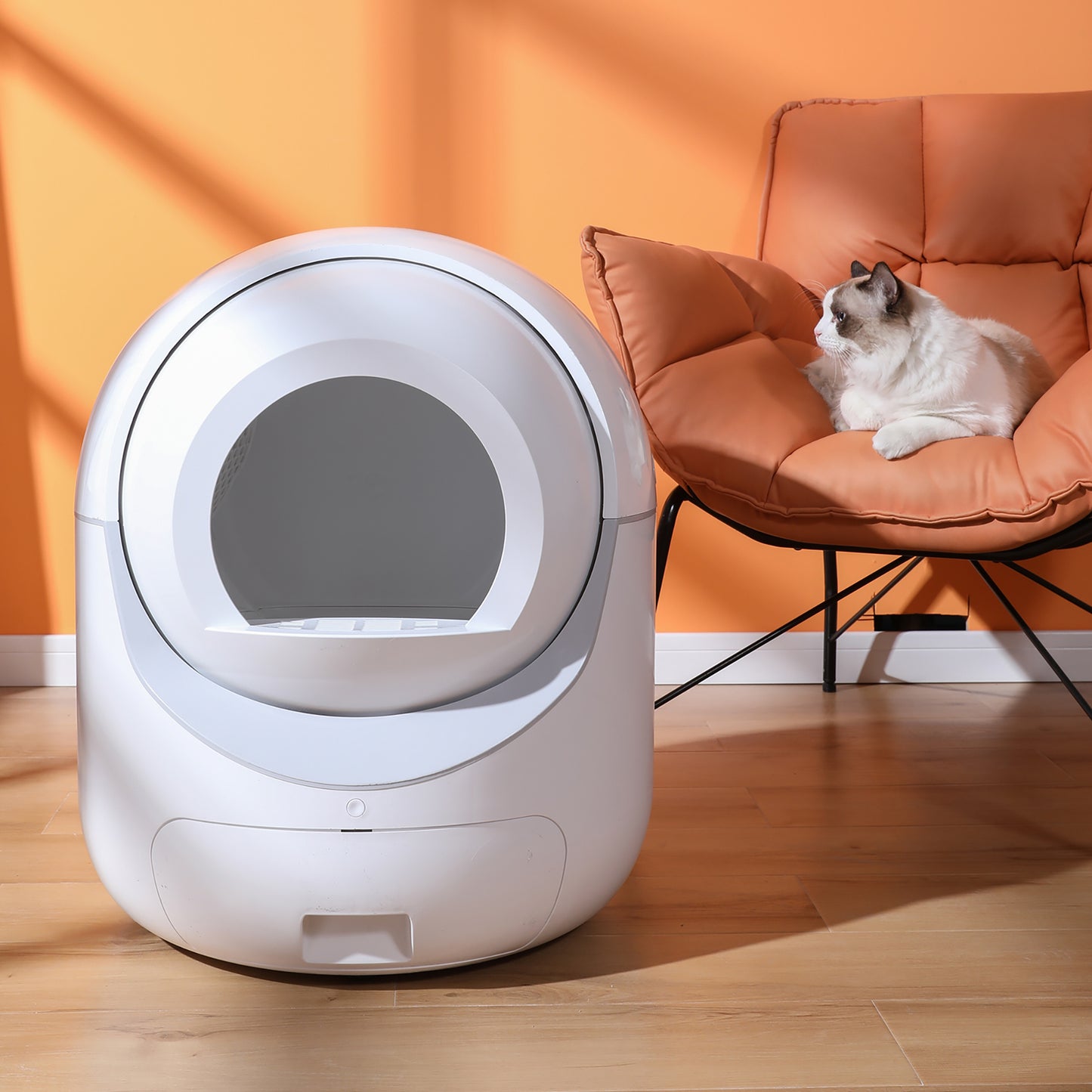 Smart Cat Litter Box w/ Automatic Scooping and Odor Removal