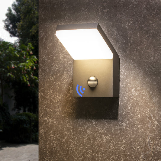 Outdoor LED Wall Mount Sconce